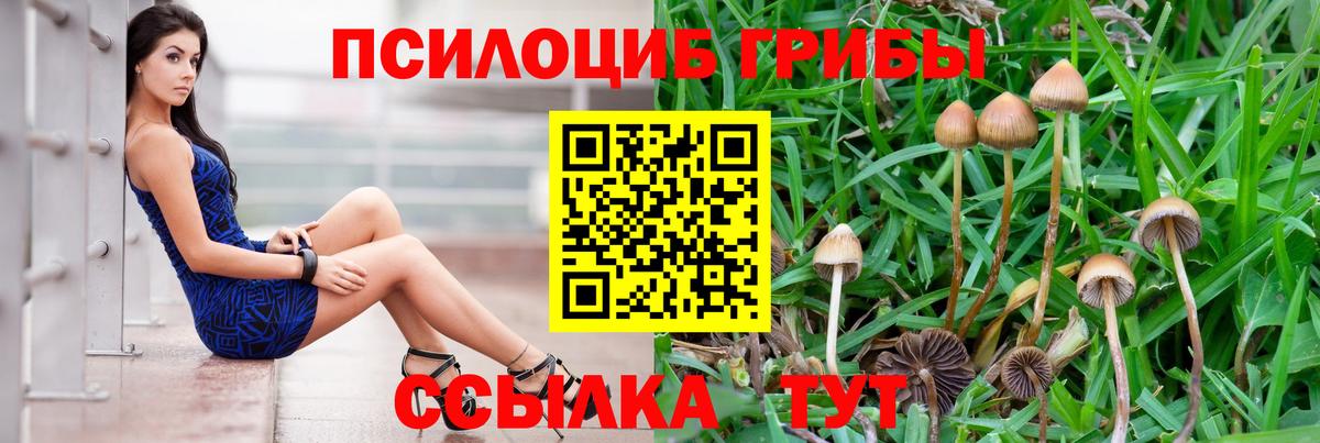 Галлюциногенные грибы Magic Shrooms Елец