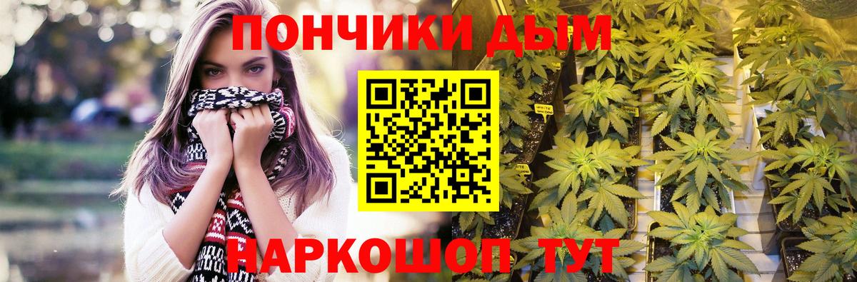 Бошки Шишки план Елец